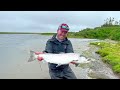 Epic Salmon battle on the West Ranga 2022