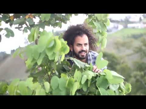 Da pra ver tudo - Marcelo Parafuso Solto