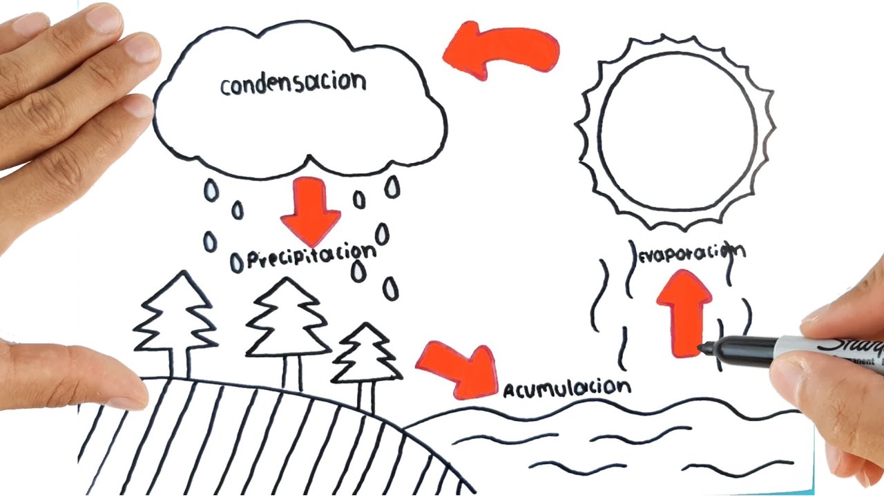 El ciclo del Agua Aprende a Hacer Ciclo del Agua Acumulación Evaporación  Condensación Precipitación - thptnganamst.edu.vn