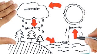 Como Dibujar El ciclo del Agua Acumulación Evaporación Condensación Precipitación Ciencias Naturales