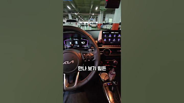 모닝 풀옵션 vs 아반떼 깡통