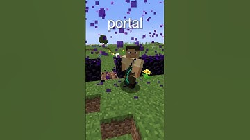 The Secret Lore Of The Ancient Wither In Minecraft...