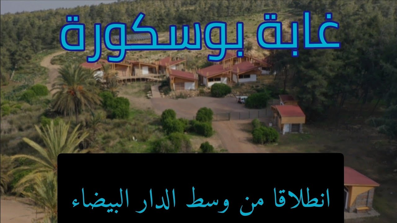 غابة بوسكورة: انطلاقا من وسط الدار البيضاء