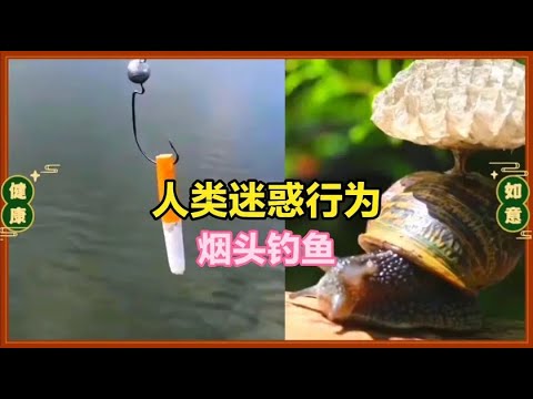 山东方言秀 你用烟头是想钓 鱼 谦吧 Youtube