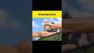 Most Useless 😞 Megaprojects In The World🌍Part(2)