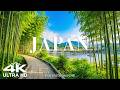 Japan 4K Video Ultra HD Mountains Cherry Blossoms Lakes Piano Music
