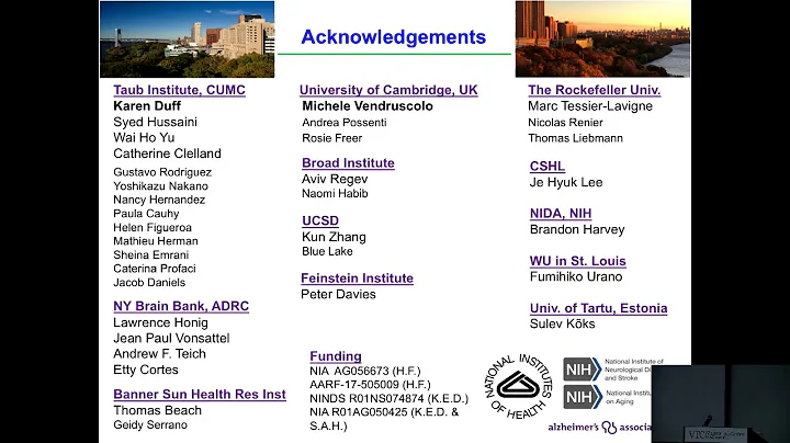 Selective Vulnerability of Excitatory Neurons to Tau Pathology in Alzheimer’s Disease