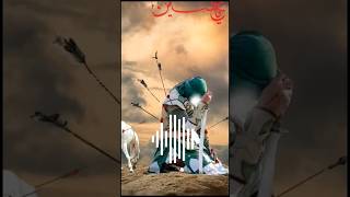 10 Muharram karbala #short video 14 sall pehle part 1