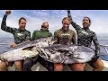 SPEARFISHING HUGE DOGTOOTH TUNA: B2B Pacific Tour(B2B Ep: 8)