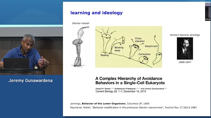 18 Jeremy Gunawardena - Cell learning: A new paradigm for biology