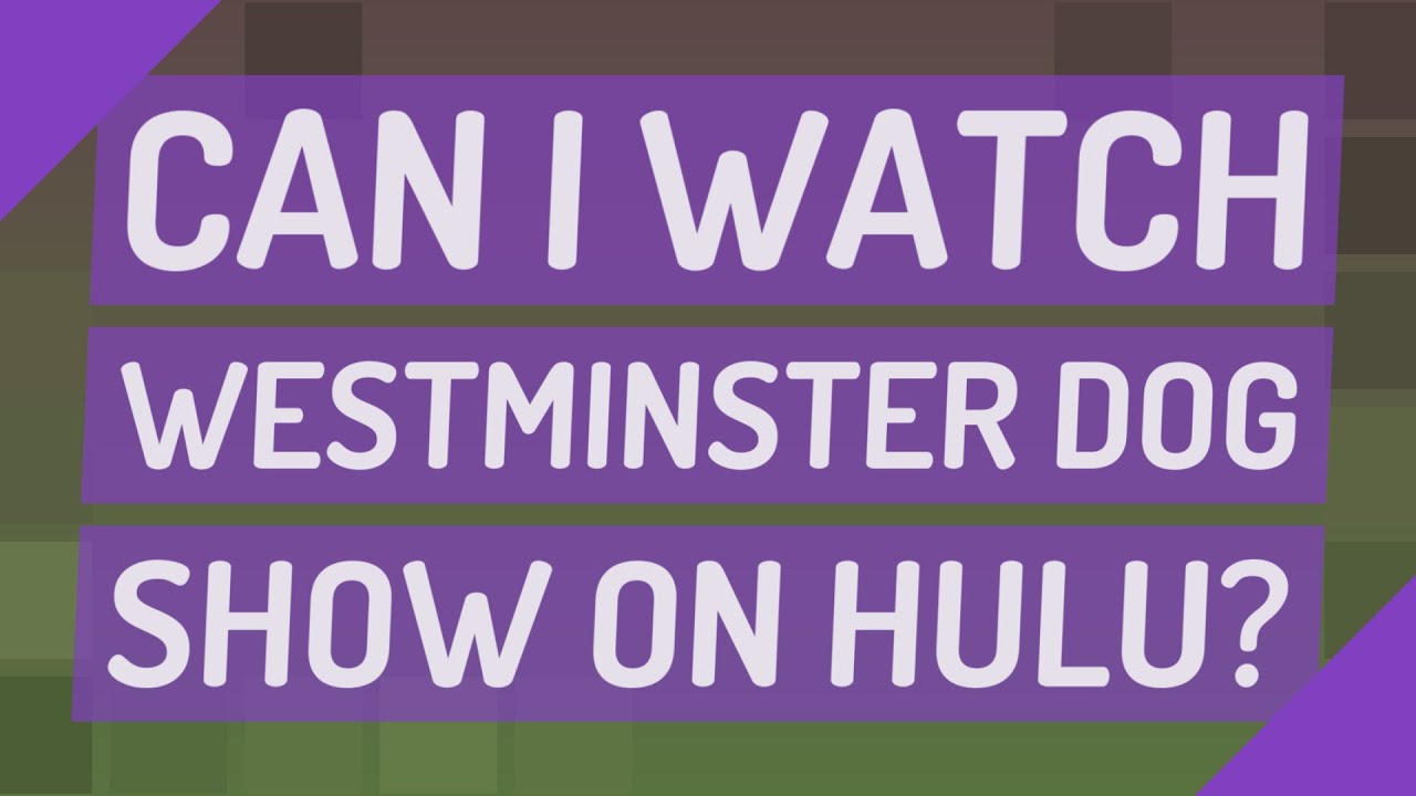 Can I watch Westminster dog show on Hulu? YouTube