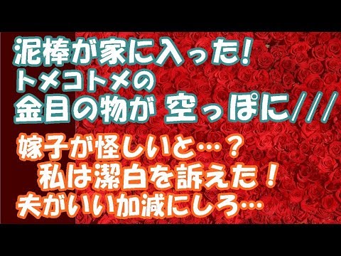 スカッとする話　泥棒が家に入った。 トメコトメの金目の物が空っぽに！嫁子が怪しいと…私は潔白を訴えた！夫は信じてくれない…いい加減にしろ…スカッと２ちゃんGO