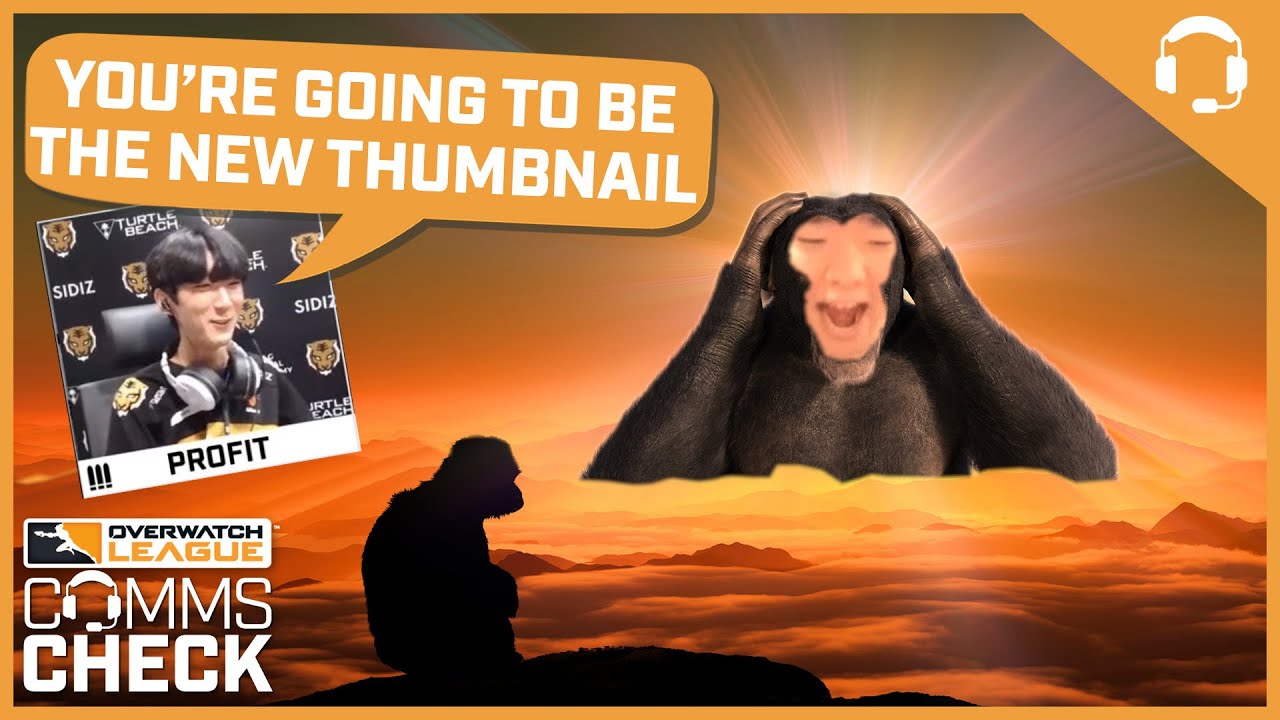 PETTING ZOO FILLED WITH OWL PRO PLAYERS 🙈 OWL Comms Check YouTube