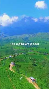 Story' wa Bukit kemuning