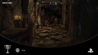 Skyrim (PS5) - Thief (SILVER)