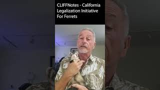 CLIFFNotes for Aug 20th, 2023 is out by LegalizeFerrets.org 11 views 9 months ago 1 minute, 32 seconds