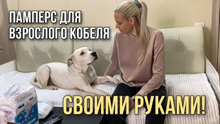 Памперс для взрослого кобеля стаффорда | Как сделать пояс для кобеля своими руками