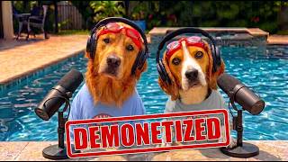 YouTube Demonetized Two Dogs... Here's What Really Happened!