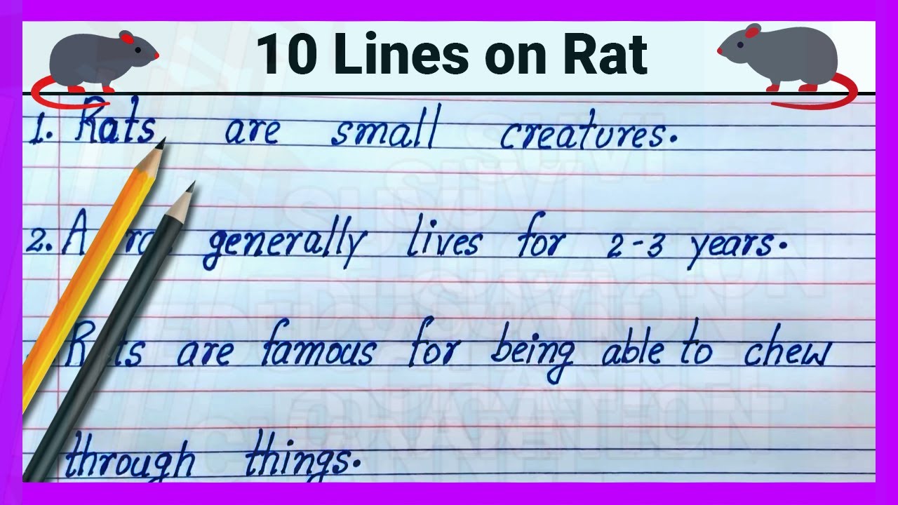 10 points on Rat🐀🐀 | How to write 10 lines on Rat | Simple 10 lines ...