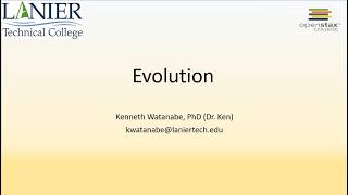 11Evolution