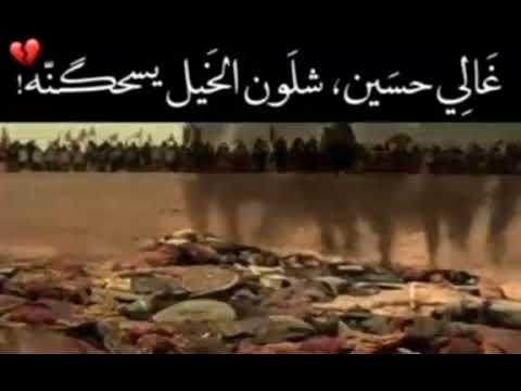 حسين يا هيبة زلمنه الطاح محد شاله