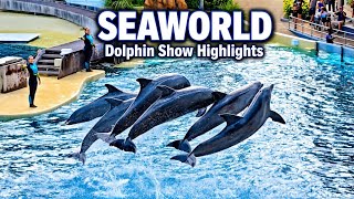 Details 🐬 SeaWorld Orlando | No Crowds, All Fun - We Felt Like Kids Again Guide
