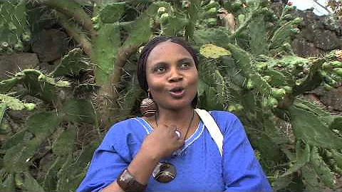 Trauma Tapping Technique -  Nadine - survivor of g...