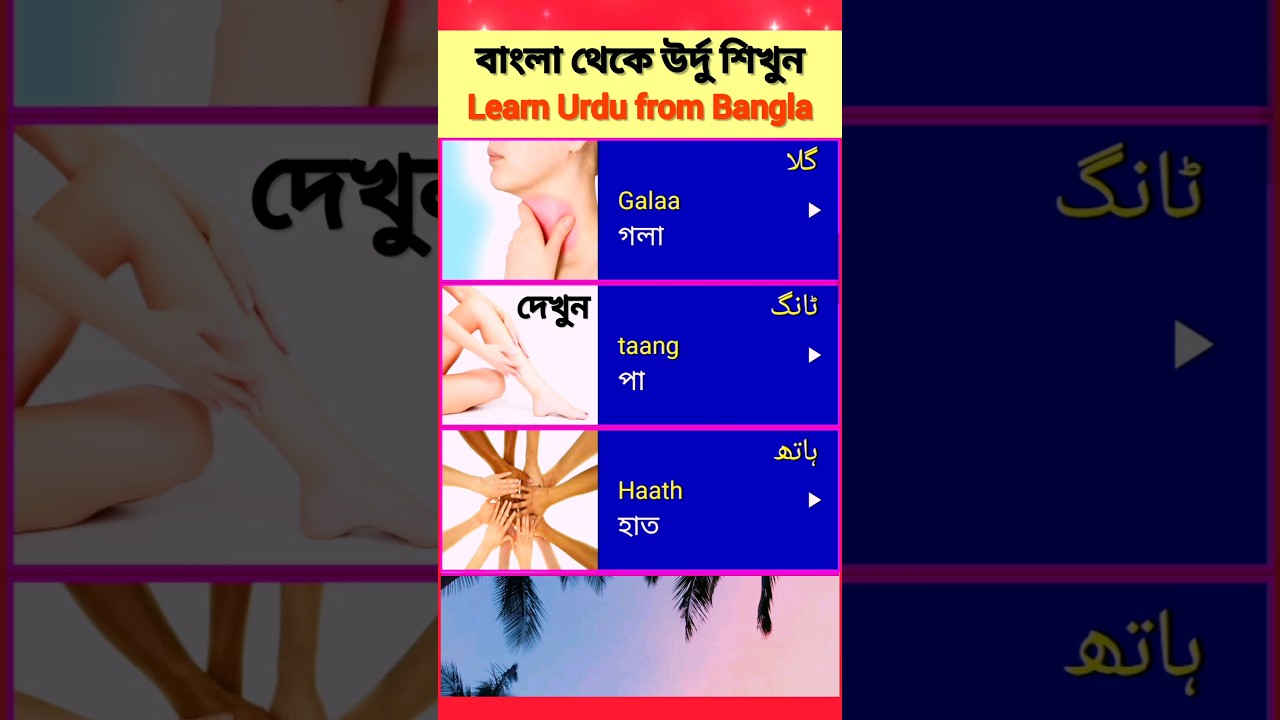 🎯 উর্দু শেখার সহজ উপায় - 5 জেনে নিন! বাংলা থেকে উর্দু 