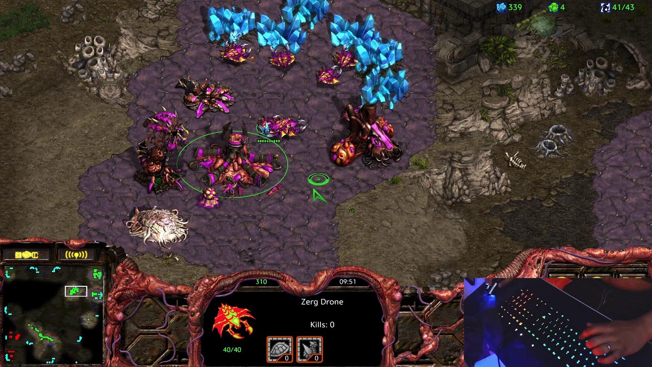 🔴LIVE!! SC Brood War RD - Sunday FUNDAY