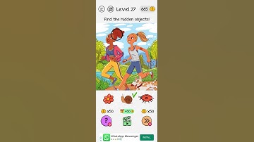 Braindom Level 27 (Find The Hidden Objects!) Solution