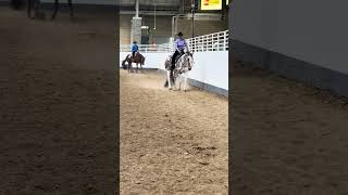 Jedi killing it in his class! #HorseLife #horseshow