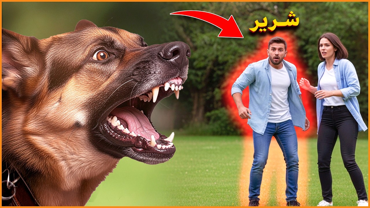 كيف تعرف الكلاب الشخص الشرير ؟