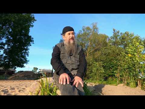 Видео: Информация о траве Святого Августина