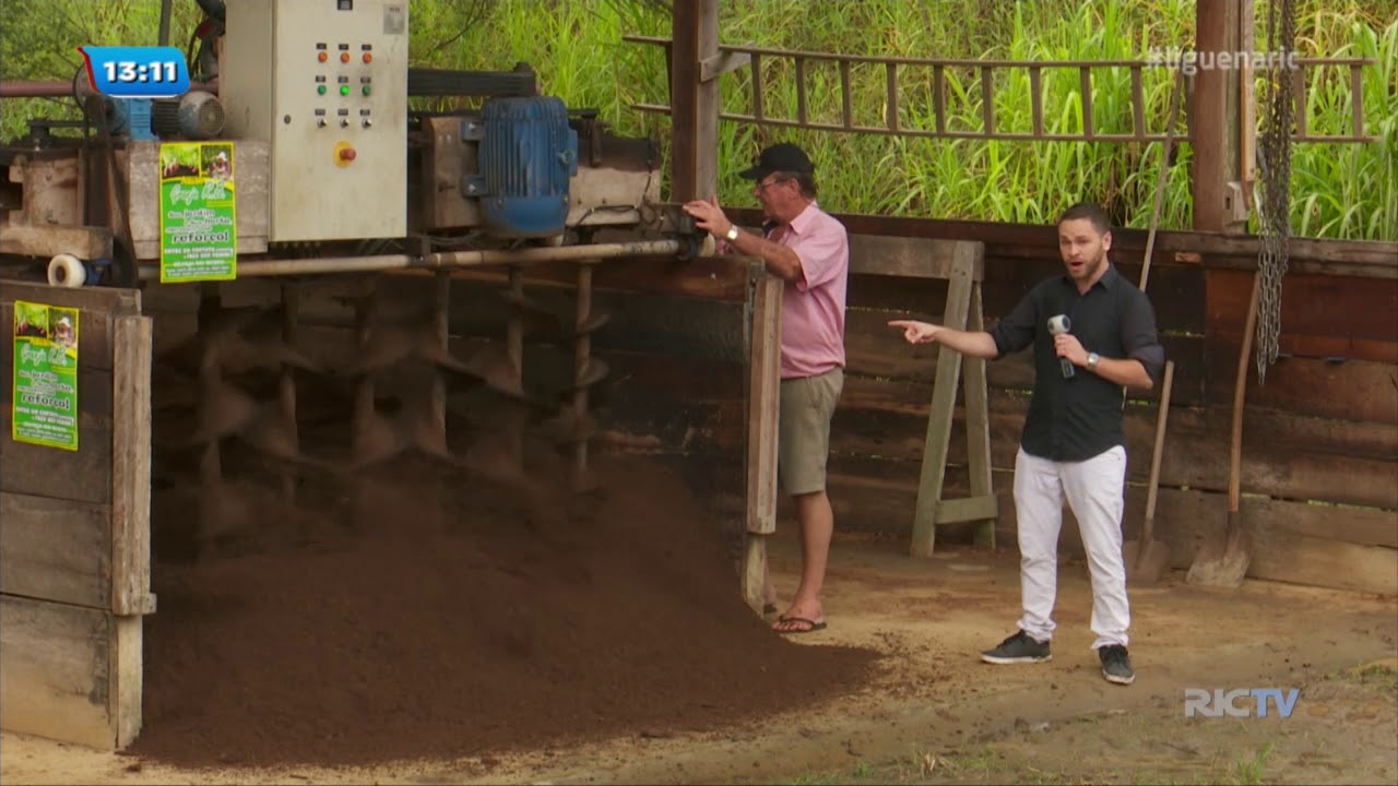 Família de Blumenau produz adubo orgânico com compostagem dos dejetos de porcos