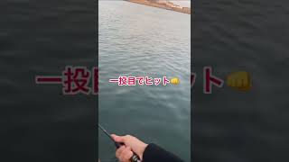 このルアー投げたら1発で釣れた笑