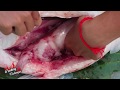 Cooking Technique: Unbelievable a lot fish in Big Fish Stomach than Roasted Big Fish For Dinner