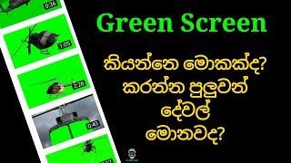 How To Mobile Phone Use In Green Screen Add And Remove - SL GEEK PLUS screenshot 3