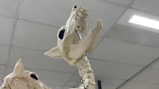 Wilko Halloween 2022 Werewolf Skeleton In Store Demo! 🎃