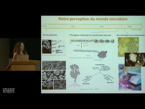 L'homme et les microbes : ultimes défis (3) - Philippe Sansonetti (2015-2016)