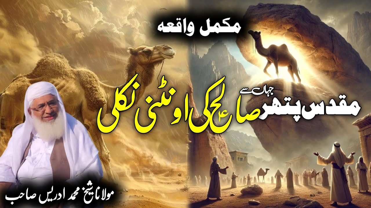 Pashto Bayan/Maulana sheikh Mohammed idrees sahib/ مقدس پتھر جہا سے صالح کی اونٹنی نکلی ؟