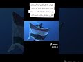 الغواص زانا اشترك بل قناة وفعلو الجرس ليصلكم كل جديد