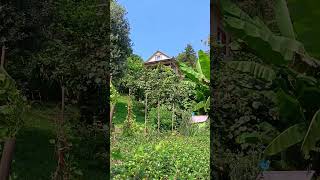 Природа🌿🍃 💥🖐Сочи-Кудепста🌊☀Хорошего дня тебе! ☀☀☀😊
