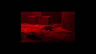 Buying Amazing Chocolate Only To Eat A Human, Huston We Have A Problem