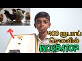 Incubator செய்வது எப்படி...? 😍| How to make incubator @400₹ | A.J.O Tech 💡