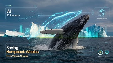 How AI is Saving Humpback Whales from Climate Change