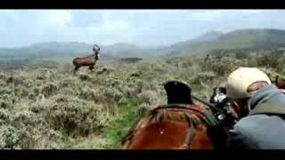 Download Lagu Mountain nyala MP3