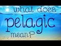 What does pelagic mean