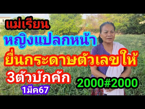 หญิงหัวหงอกแปลกหน้ายื่นกระดาษตัวเลขให้ 3 ตัวจังๆงวด1มีค67แม่เรียน