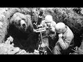 Wzruszająca historia o niedźwiedziu Wojtku, który walczył ...