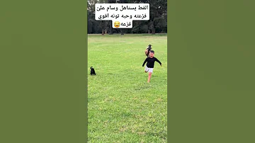اكسبلور Cute Cat قططمضحكه بزونه ضحك قطط 